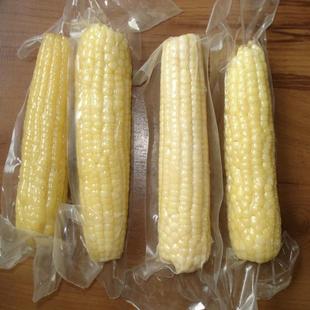 供应速冻玉米设备YT 1东北糯玉米机器厂家玉米多层蒸煮机价格