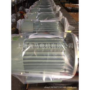 Y系列三相异步电动机YE2 2极45W30w22w380V变频电机 225M