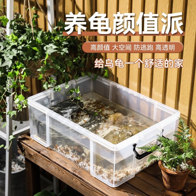 乌龟周转箱塑料大号家用造景过滤饲养箱透明亚克力生态混合养鱼缸图片