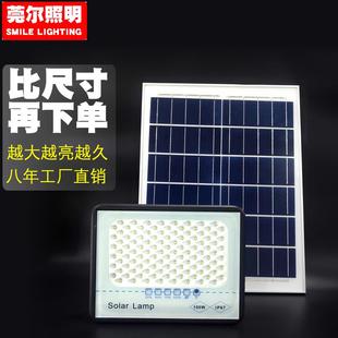 led太陽能庭院燈戶外家用照明超亮室外防水滿天星路燈照樹投光燈