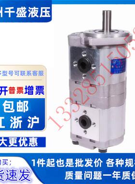 合肥长源 赛源双联齿轮泵CBWL-E310/E306 E310 E308-CLP/AFH/TFZL