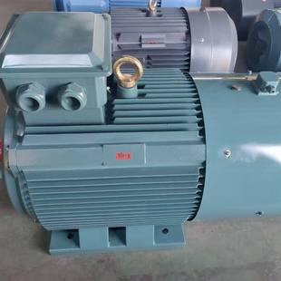 YE3电动机380v三相异步132S 5.5W