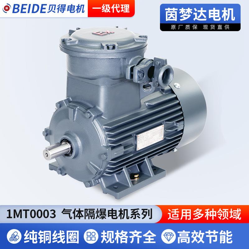 贝得1MT0003气体隔爆电机爆炸危险场所变频隔爆型三相异步电动机