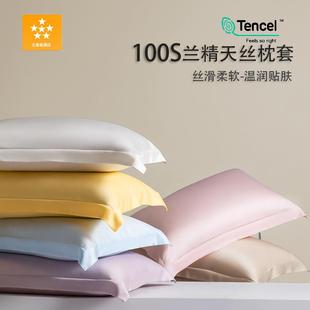 A类轻奢天丝枕套48×74cm夏天纯色兰精天丝枕头套一对装 100S 家用