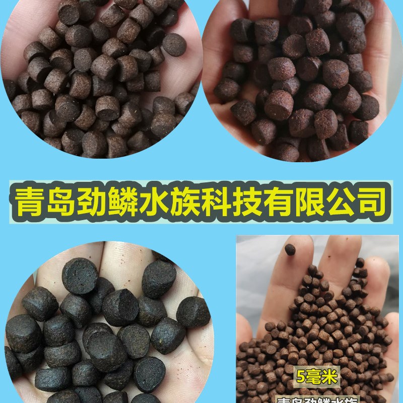 马团长高档高蛋白全熟化锦鲤饲料增色增重增体鱼粮鱼食