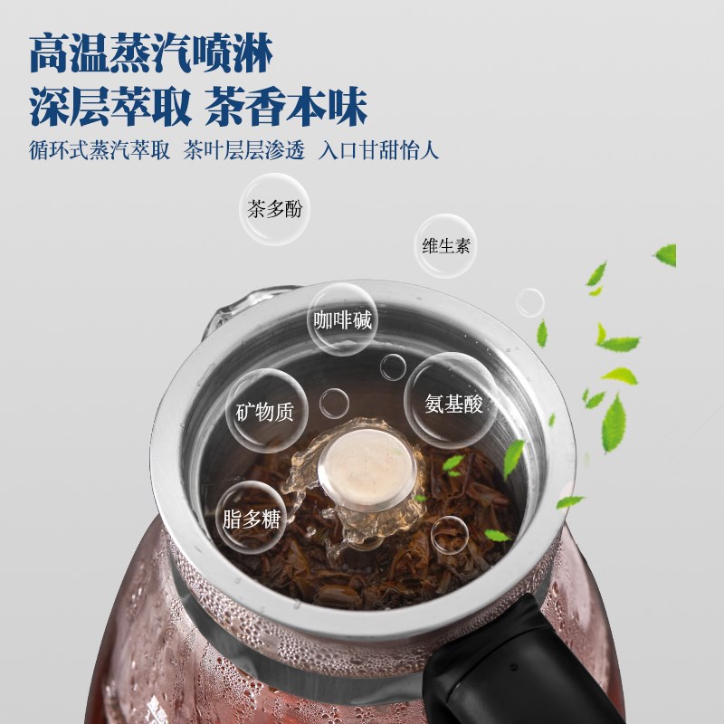 煮茶器家用全自动黑茶煮茶壶普洱老白茶专用玻璃蒸汽蒸茶器办公室