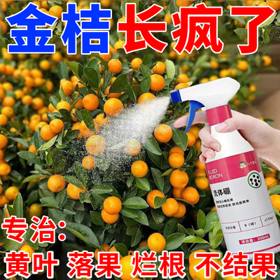金桔保花保果药防落果脆蜜金桔流体硼叶面肥保花保果防裂果坐果精