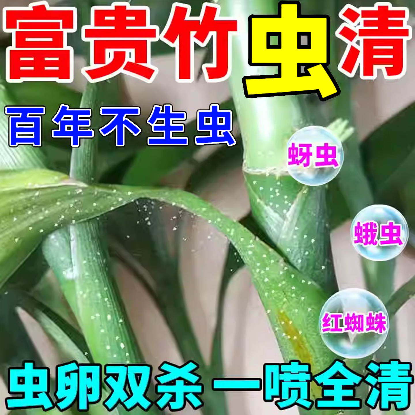 富贵竹杀虫剂杀红蜘蛛蚧壳虫白粉虱蚜虫水培植物杀虫家用驱虫药