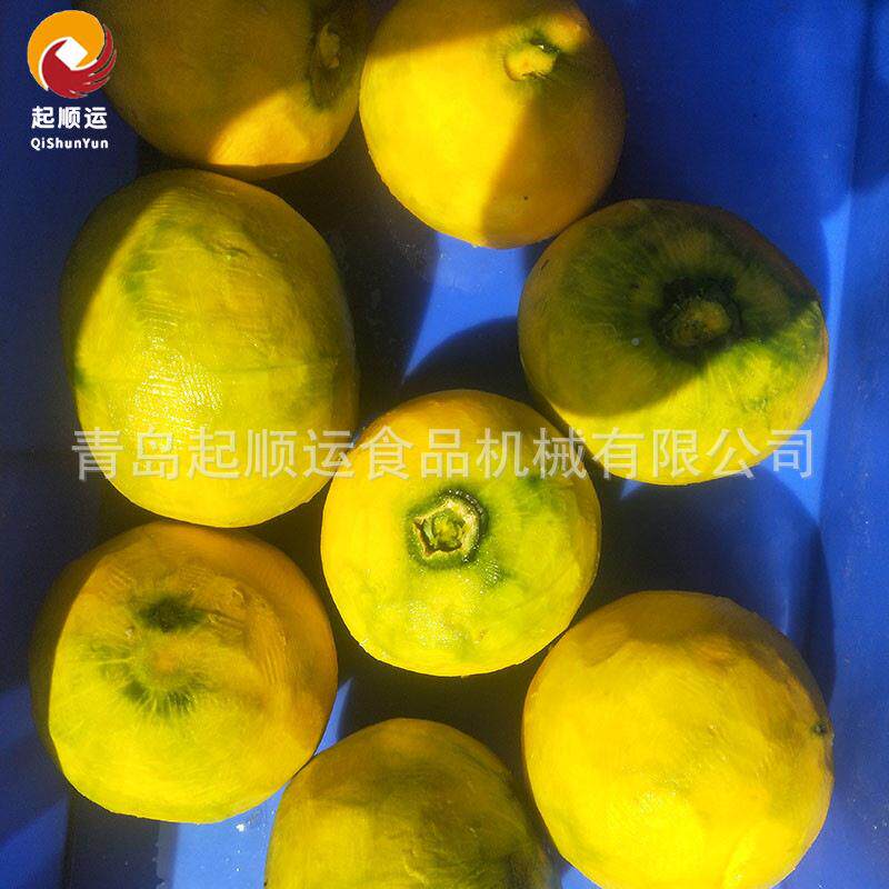 型土新橙子去皮机 南瓜起顺运全自动皮机 起豆顺运牌螺旋去皮削机