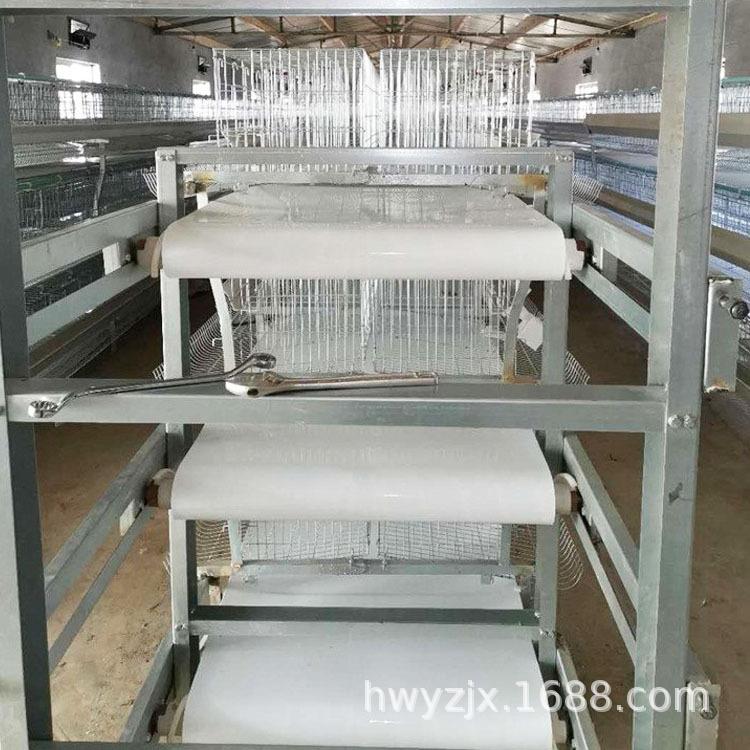 大型养鸡场可用鸡粪清理设备履带式鸡粪传送设备自动化养机械