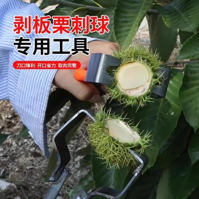 剥板栗刺球神器栗子外壳去皮毛夹脱蓬器开口超省力拨板栗开壳工具