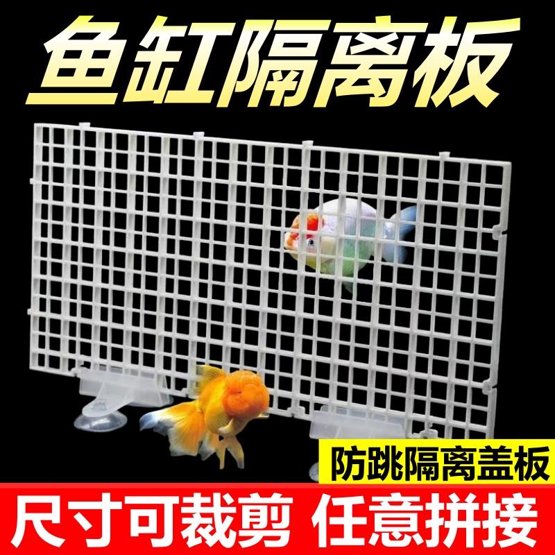 鱼缸加密隔离网板挡板水族箱专用底滤板网板隔离吸盘托架白色透明