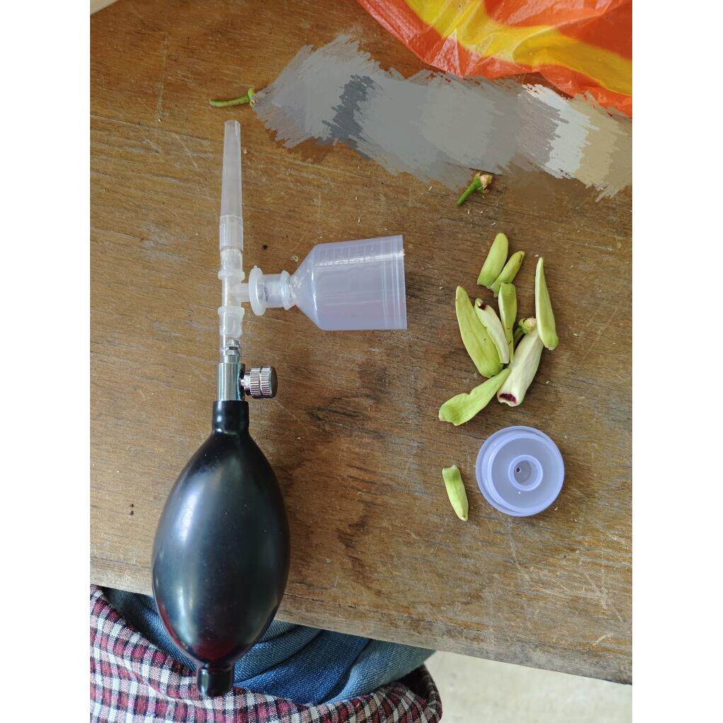 释迦果授粉器快速授粉气动款D佛头果授粉图片