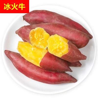 临安天目山小香薯5斤正宗板栗红薯新鲜农家自种小番薯地瓜蜜薯