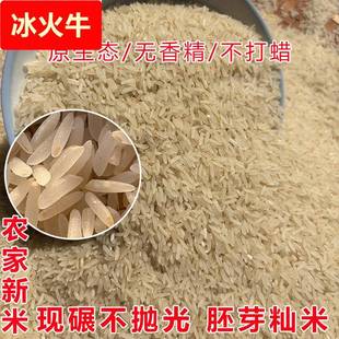 江西宜春农村白米自种晚稻大米未抛光米含胚芽不打蜡乡下新米籼米
