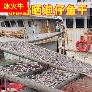汕尾本港迪仔干马面鱼干迪仔脯扒皮鱼干渔民自晒微咸剥皮鱼干500g