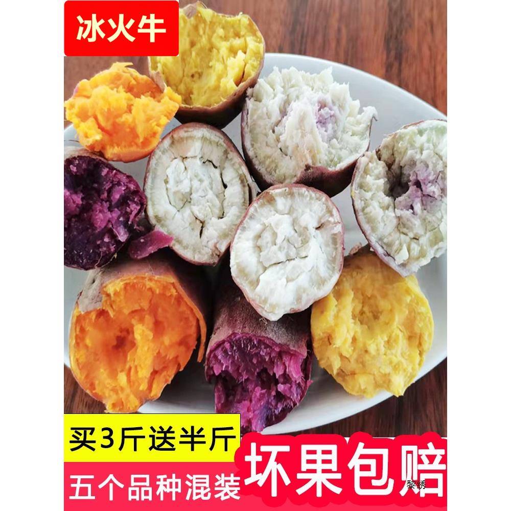 冰淇淋红薯爆皮王番薯鸡蛋黄地瓜紫薯西瓜红蜜薯板栗薯一点红山芋
