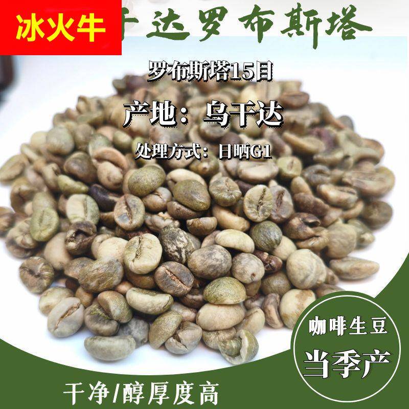 当季产咖啡生豆Uganda Robusta 乌干达罗布斯塔15目日晒G1