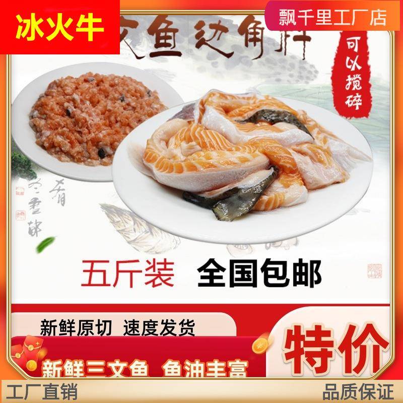 5斤装冰鲜宠物三文鱼边角料碎肉自制猫粮狗粮免费搅碎鱼油丰