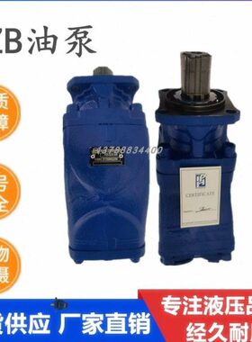 PZB Y60/84R 317008422W0 64意大利斜轴柱塞泵环卫钩臂车专用油泵