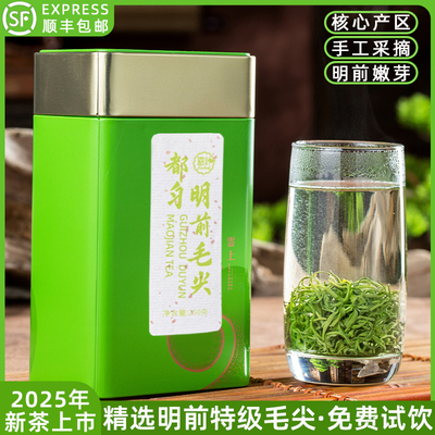 都匀毛尖明前特级精选绿茶