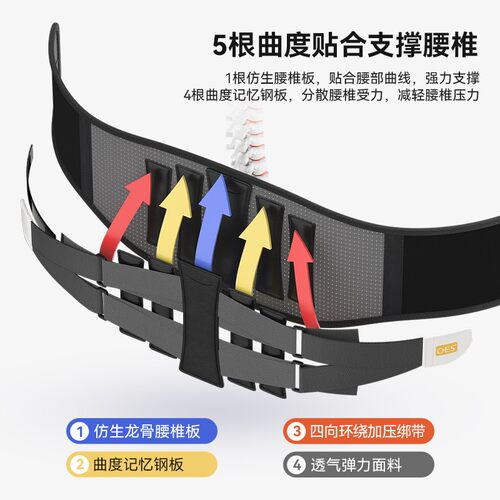 OES护腰带透气保暖护腰神器腰椎间盘专用腰肌劳损缓解腰部矫形器