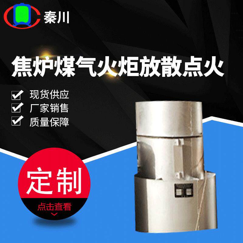 焦炉净煤气放散点火系统点火枪防水耐温管道用煤气放空点火装置