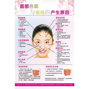 面部色斑和痤疮的产生原因分析海报宣传画广告贴图片挂画图