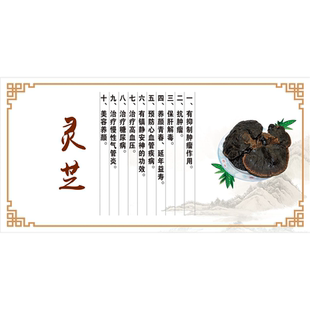 灵芝养生海报展板中国传统养生文化养生之道灵芝的成分墙贴纸