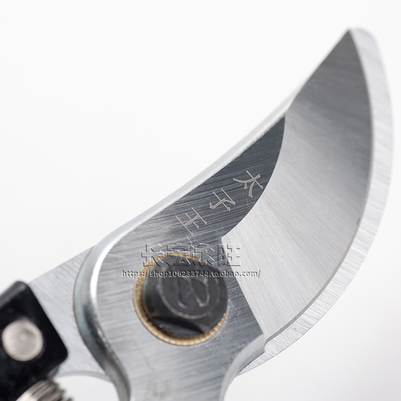 修枝剪太子王树枝剪枝剪不锈钢园林工具园艺剪刀葡萄剪刀修整木剪