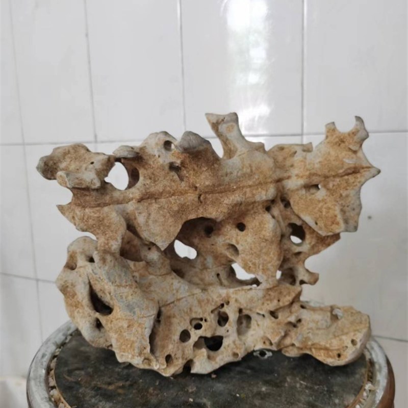 广西天然太湖石原石鱼缸摆件假山石骷颅石奇石园林庭院太湖石