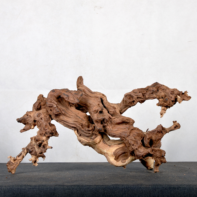 鱼缸造景水沉木珊瑚木造景枝条天然枯木水族箱装饰乌龟晒台紫柚木