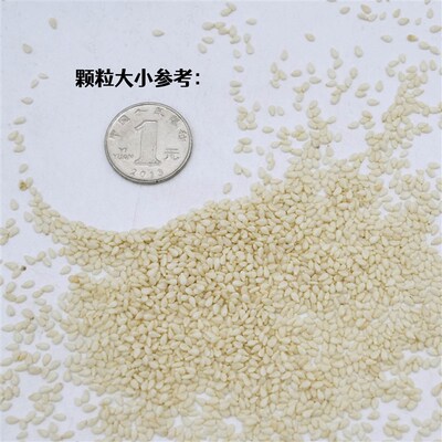 鸟粮白芝麻鸟食脱皮白芝麻鹦鹉金丝雀芝麻饲料玉鸟麻料油料芝麻