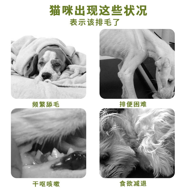 杰羚猫草片化毛球片猫咪去毛球狗狗通用消化吐毛排毛宠物化毛膏