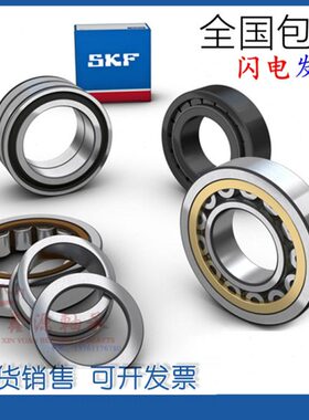 进口SKF轴承 N2315 N2316 N2317 N2318 N2319 ECM/ECJ/ECP/C3