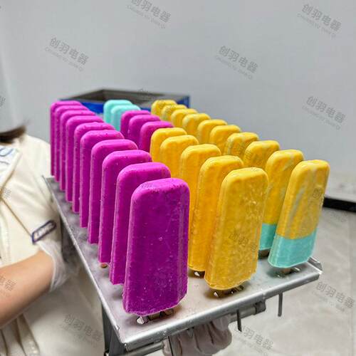 广东厂家直销大型十模水果牛奶冰棍机DIY香草雪糕生产设备