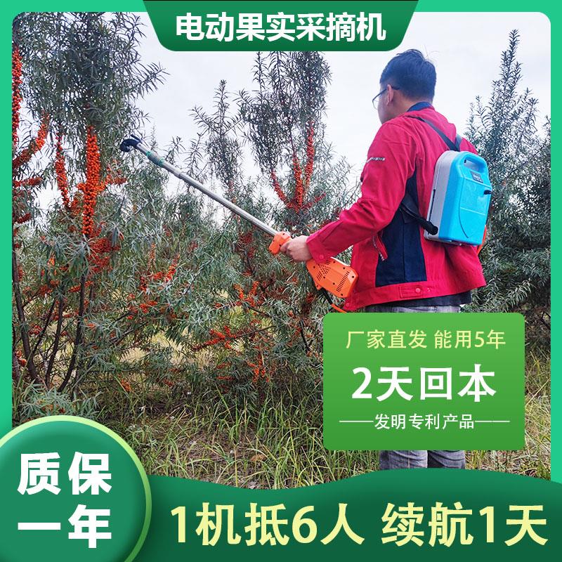 【加强版】电动果实采摘机震动果实采收采打器实用沙棘山茱萸青梅