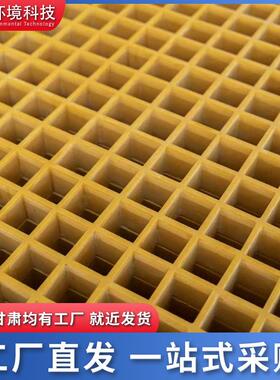 玻璃钢格栅市政养殖鸽舍漏粪网格板光伏检修通道树篦子地面格栅