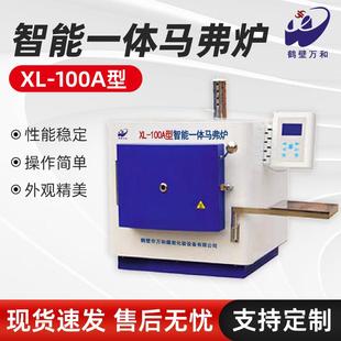 分析化验设备不锈钢高温实验电炉XL 煤炭箱式 100A型马弗炉现货