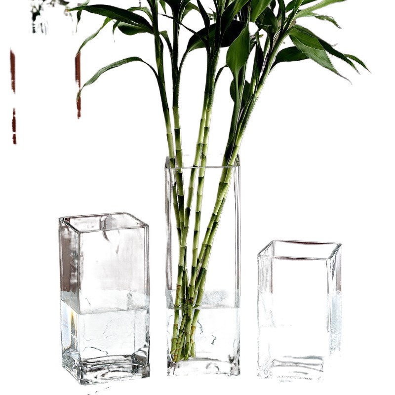 简约方形玻璃花瓶透明水培富贵竹方缸百合微景观客厅装饰花瓶摆件
