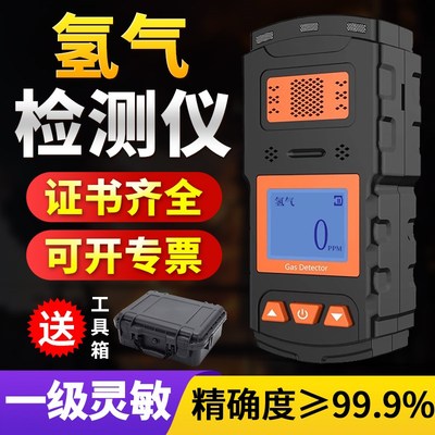 氢气检测仪气体浓度探测报警器H2含量有毒有害毒气检测器分析仪