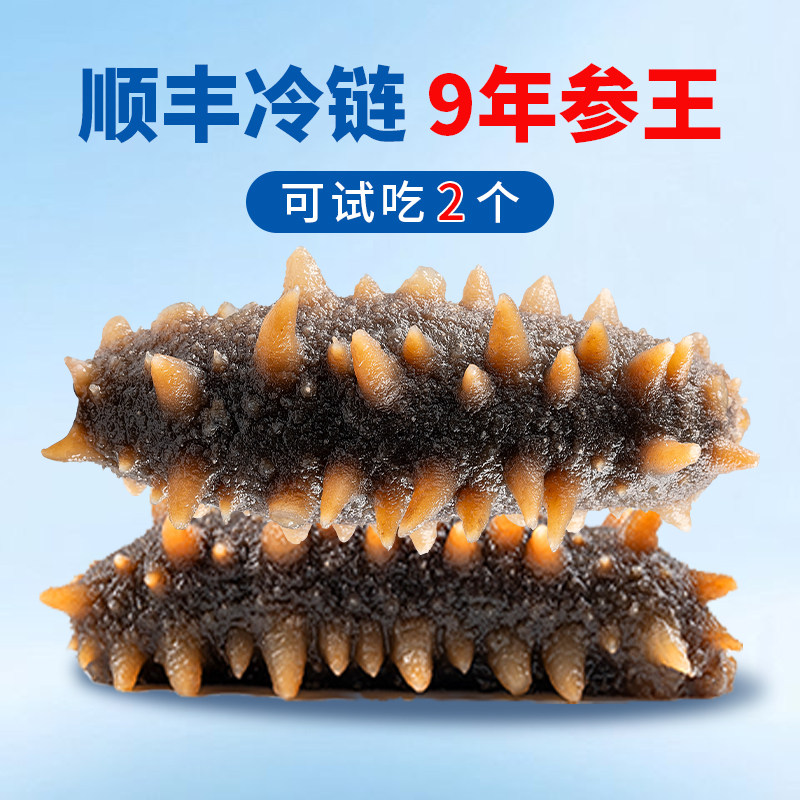 明小胖鲜食海参独立包装