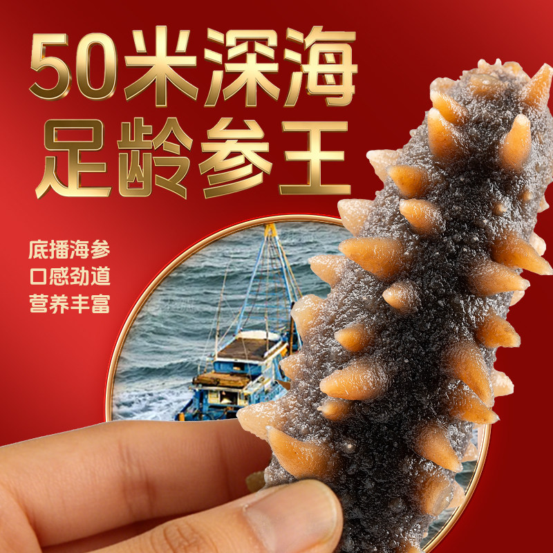 明小胖海参正品官方旗舰店高性价比1-3斤开袋辽宁大连即食刺参