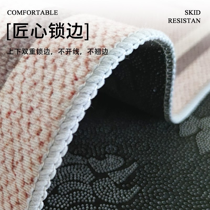 地垫入户门进门地毯门口家用门垫防滑客厅轻奢高入户级玄关脚垫