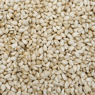 2020年新20斤红花子红花籽白瓜子仓鼠鹦鹉鸽子等鸟食饲料19省 包邮