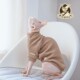 柔软毛衣 舒适春季 无毛猫衣服斯芬克斯德文宠物猫纯棉弹性时尚 个性