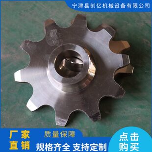 链轮齿轮加工定做双排304不锈钢链轮4分链轮链条碳钢机械传动链轮