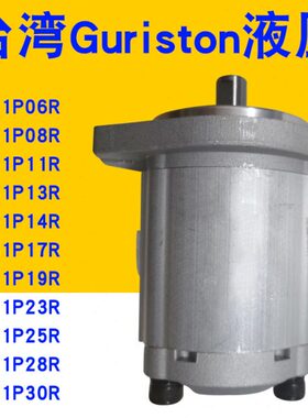 齿轮泵2GG1P06R/P08R/P11R/P13R/P14R/P19R/P23R/P25R/P28R/P30R