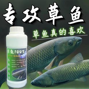钓草鱼专用小药草鱼饵料黑坑配方野钓泡玉米专攻大草鱼诱鱼添加剂