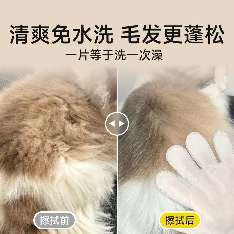 宠物免洗手套猫咪免洗澡神器狗狗干洗擦猫清洁用品小猫幼犬擦浴,宠物/宠物食品及用品,猫狗免洗清洁,淘宝优惠券,粉丝福利购,淘宝优惠卷